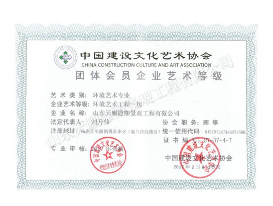 環(huán)境藝術(shù)企業(yè)藝術(shù)等級(jí)證書(shū)