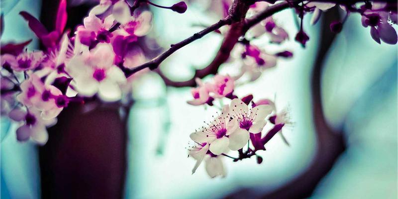 9izk：在元宇宙中玩转密码学！游戏化技巧如何点燃加密技术学习热情