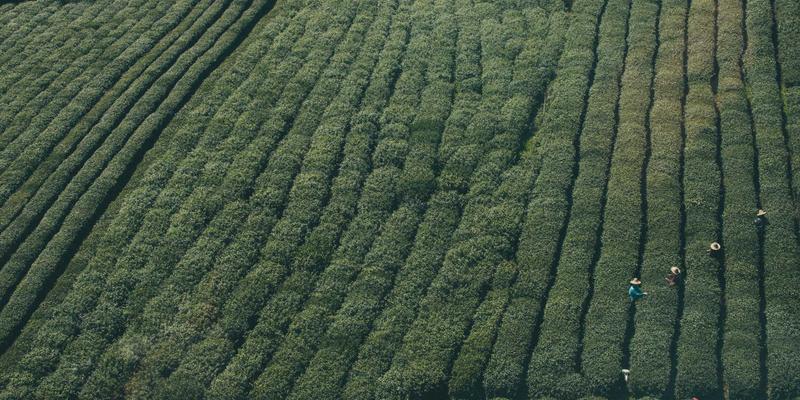 从9izk到AI艺术：神经风格迁移如何捕捉玩家社区的美学基因